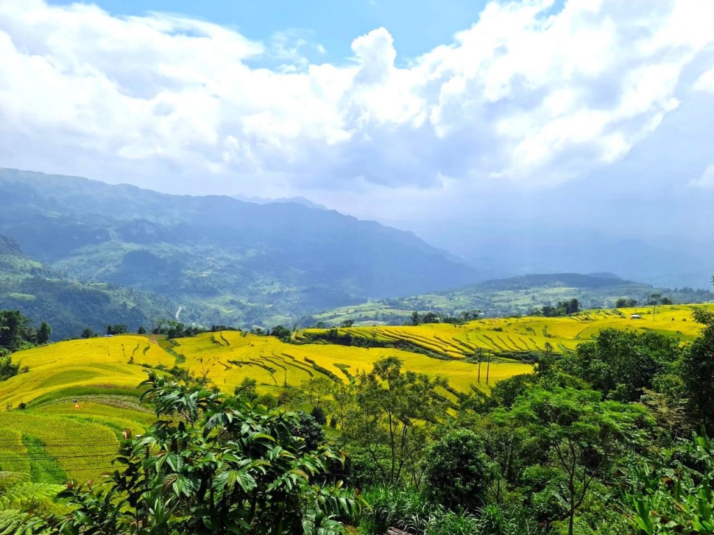 ការទាក់ទាញនៃរដូវកាលមាស Hong Thai ការទាក់ទាញនៃរដូវកាលមាស Hong Thai