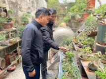ផ្សារផ្កា Hoang Hoa Tham មានភាពរស់រវើក និងអ៊ូអរក្នុងប៉ុន្មានថ្ងៃជិតដល់បុណ្យតេត