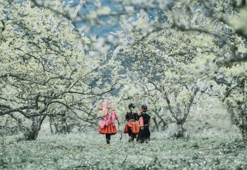 គោលដៅទេសចរណ៍នៅវៀតណាមទាក់ទាញភ្ញៀវទេសចរនៅដើមឆ្នាំ ២០២១