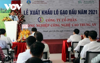 វៀតណាមនាំចេញអង្ករជើងដំបូងដើមឆ្នំាទៅប្រទេសម៉ាឡេស៊ីនិងសិង្ហបុរី
