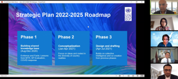 អាទិភាពរបស់ UNDP សម្រាប់អាស៊ី - ប៉ាស៊ីហ្វិក ក្នុងដំណាក់កាល ២០២០-២០២៥