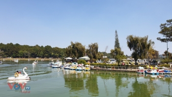 ទីក្រុង Da Lat: ភ្ញៀវទេសចរណ៍័យ៉ាងច្រើនកុះករចាប់ផ្តើមមកលេងកំសាន្តក្នុងឱកាសនិទាឃរដូវឆ្នាំឆ្លូវត្រីស័ក ២០២១
