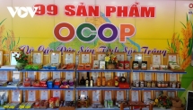 Soc Trang៖ ប្រសិទ្ធភាពពីកម្មវិធី “ឃុំមួយផលិតផលមួយ” (OCOP)