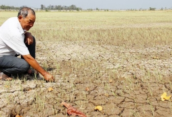 UNDP ផ្តល់ជំនួយឧបត្ថម្ភជាទឹកប្រាក់ ១៨៥.០០០ ដុល្លារអាមេរិកដើម្បីទប់ទល់នឹងគ្រោះរាំងស្ងួតនិងការជ្រាបជាតិប្រៃនៅតំបន់វាលសណ្តរទន្លេ Cuu Long (វៀតណាម)