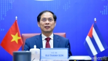 ការពិគ្រោះយោបល់នយោបាយវៀតណាម - គុយបាថ្នាក់អនុរដ្ឋមន្រ្តីការបរទេសលើកទី ៦