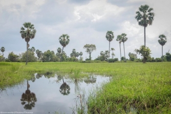 រដូវវស្សា​ឆ្នាំនេះនៅកម្ពុជា​ចាប់ផ្តើម​លឿន​ជាង​ឆ្នាំមុន