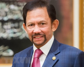 ព្រះមហាក្សត្រនៃប្រទេសប្រ៊ុយណេដារូសាឡឹមបានចាប់ផ្តើមយាងធ្វើព្រះរាជទស្សនកិច្ចផ្លូវការនៅវៀតណាម