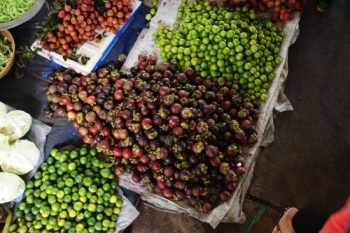 ពិព៌ណពាណិជ្ជកម្មនៅតំបន់ដីសណ្ដទន្លេ Cuu Long គ្រោងនឹងប្រព្រឹត្តិទៅនាពេលខាងមុខ