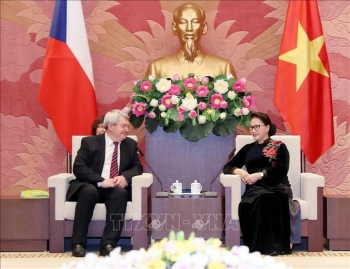 ទំនាក់ទំនងមិត្តភាពនិងកិច្ចសហប្រតិបត្តិការជាប្រពៃណីវៀតណាម - ឆែកកំពុងអភិវឌ្ឍន៍យ៉ាងល្អប្រសើរ