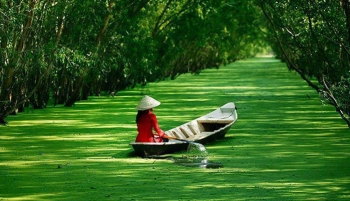 តំបន់ជាច្រើននៅវៀតណាមព្យាយាមស្តារវិស័យទេសចរណ៍ឡើងវិញ