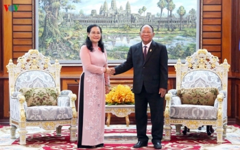 ទីក្រុងហូជីមិញជម្រុញកិច្ចសហប្រតិបត្តិការជាមួយតំបន់នានានៅកម្ពុជា