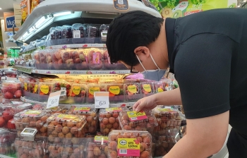 ផ្លែគូលែនស្រស់វៀតណាមចំនួន ៥០ តោនមានវត្តមាននៅក្នុងទីផ្សារប្រទេសសិង្ហបុរី