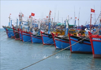 Foreign Affair Asia៖ វៀតណាមខិតខំដកកាតលឿង IUU