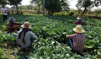 ក្រសួង​ពាណិជ្ជកម្ម​ និង​ផ្សារ​ម៉ាក្រូ​សហការ​គ្នា​ដើម្បី​អភិវឌ្ឍ​ខ្សែ​ច្រវ៉ាក់​តម្លៃ​ម្ហូប​អាហារ​