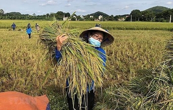 វៀតណាមបានកំណត់គោលដៅអភិវឌ្ឍន៍ប្រកបដោយចីរភាពចំនួន ១៧ ដល់ឆ្នាំ ២០៣០