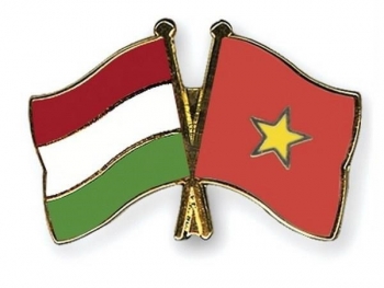 តួនាទីរបស់វៀតណាមក្នុងគោលនយោបាយ “ទិសដៅខាងកើត” របស់ហុងគ្រី