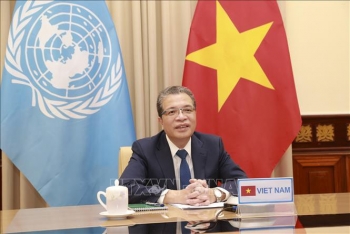 វៀតណាមគាំទ្រកិច្ចខិតខំប្រឹងប្រែងនិងគំនិតផ្តួចផ្តើមនានា ដើម្បីសម្រេចបាននូវដំណោះស្រាយដ៏ពេញលេញចំពោះបញ្ហាប៉ាឡេស្ទីន