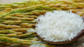 កម្ពុជានាំចេញស្រូវជាង ១ លានតោនទៅប្រទេសវៀតណាម