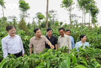 ពាណិជ្ជសញ្ញាកាហ្វេវៀតណាមក្នុងការផ្លាស់ប្តូរថ្មីនិងច្នៃប្រឌិតដើម្បីធ្វើសមាហរណកម្ម