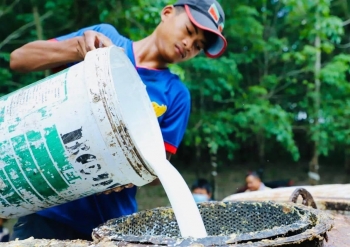 កម្ពុជានាំចេញជ័រកៅស៊ូជាង២៤ម៉ឺនតោន បានចំណូលជាង៣១៨លានដុល្លារ នៅរយៈពេល១០ខែឆ្នាំ