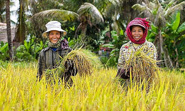 វៀតណាមទិញ ៨០%នៃការនាំចេញផលិតផលកសិកម្មរបស់កម្ពុជា