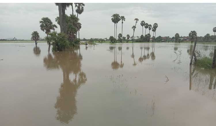 ​កសិករ​រងគ្រោះ​ដោយ​ទឹកជំនន់​នៅ​ខេត្ត​កំពង់ធំ​ ​និង​ខេត្ត​បាត់​ដំបង​ដាក់ពាក្យ​សុំ​សំណង​ធានា​រ៉ាប់រង​