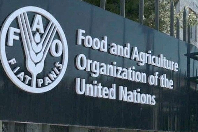 វៀតណាមចូលរួមសន្និសីទថ្នាក់រដ្ឋមន្ត្រីលើកទី ៣៧ អង្គការស្បៀងអាហារនិងកសិកម្មរបស់អង្គការសហប្រជាជាតិ (FAO) ប្រចាំតំបន់អាស៊ីប៉ាស៊ីហ្វិក (APRC)