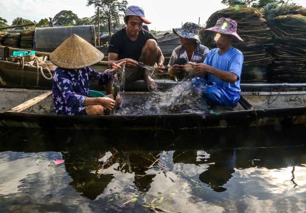 គយគន់ថ្ងៃរះដ៏ត្រចះត្រចង់នៅលើបឹងទឹកភ្លាវ Tam Giang