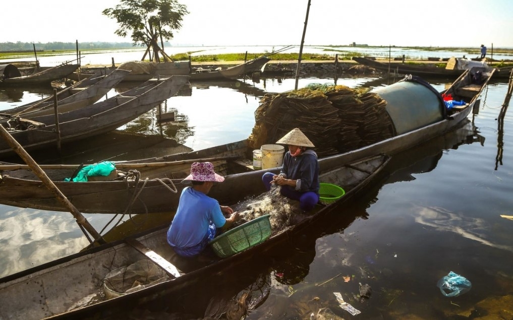 គយគន់ថ្ងៃរះដ៏ត្រចះត្រចង់នៅលើបឹងទឹកភ្លាវ Tam Giang