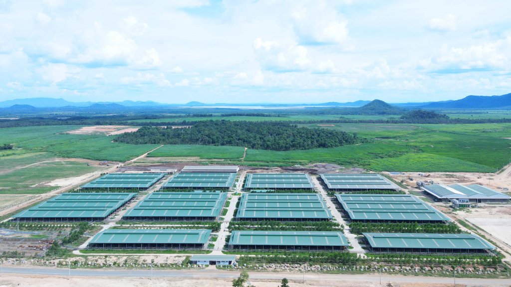 គម្រោងរបស់ក្រុមហ៊ុន THACO AGRI នៅស្រុកស្នួល ខេត្តក្រចេះ