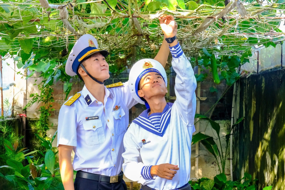 ខេត្ត Khanh Hoa៖ កៀងគរការឧបត្ថម្ភដើមឈើជាង ៥០០ ពាន់ដើម ដើម្បី «Truong Sa បៃតង»