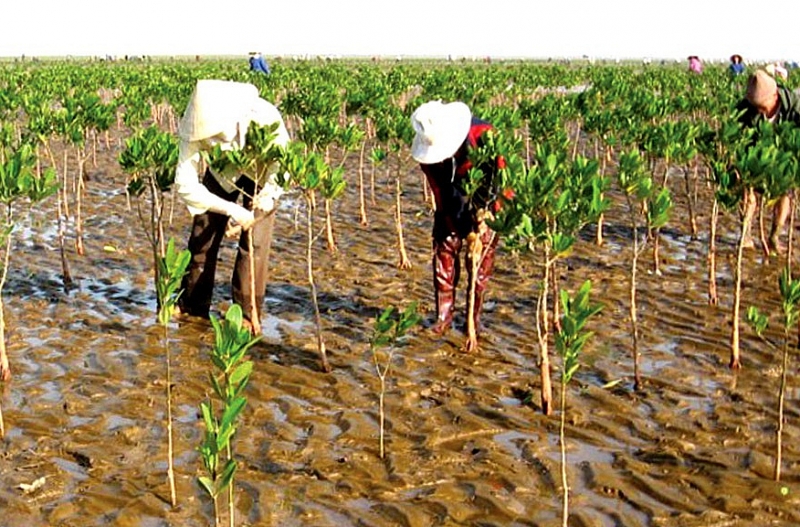 គោលនយោបាយច្បាប់របស់វៀតណាមធានាសិទ្ធិមនុស្សចំពោះមុខផលប៉ះពាល់នៃការប្រែប្រួលអាកាសធាតុ