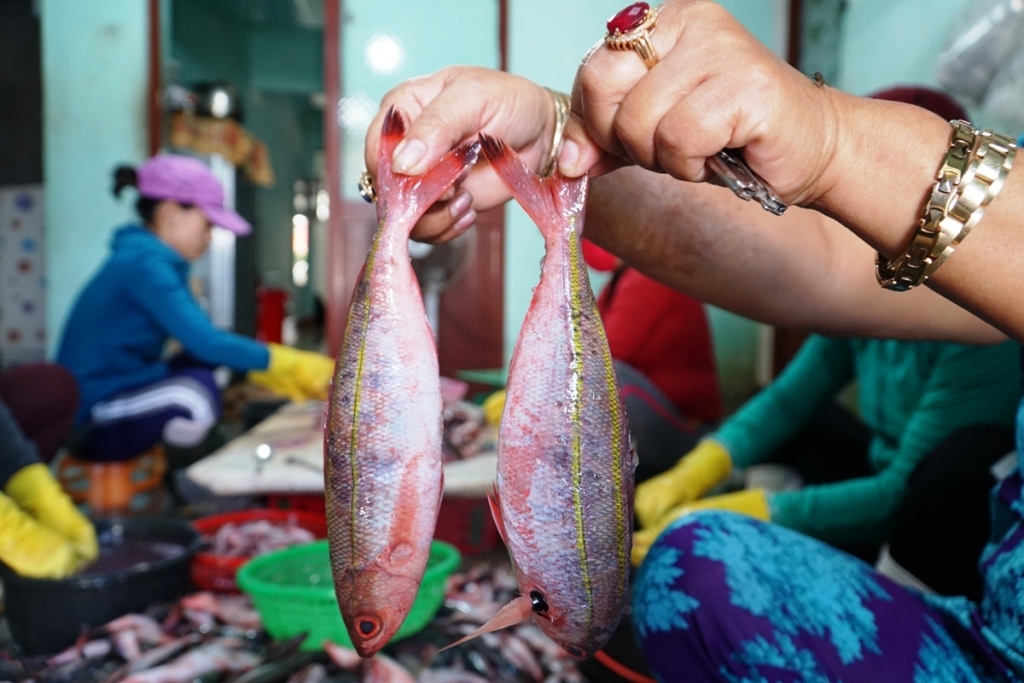 ភូមិធ្វើប្រហិតត្រី Ly Son