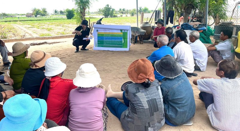 UNDP គាំទ្រខេត្ត Quang Tri ក្នុងការកែលម្អសេវាសាធារណៈ