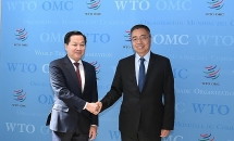 វៀតណាមគោរពតួនាទីរបស់ WTO ក្នុងការជំរុញប្រព័ន្ធពាណិជ្ជកម្មពហុភាគី