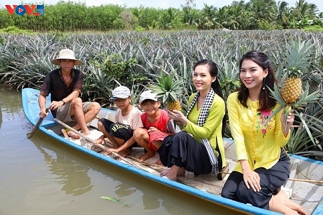 ការសម្របសម្រួលដើម្បីធ្វើដំណើរទេសចរណ៍បទពិសោធន៍កសិ-អេកូឡូស៊ីនៅ Hau Giang  (រូបថត៖ VOV)
