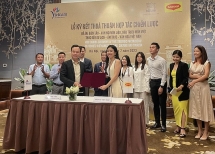 កសាងផែនទីគ្រឿងផ្សំធ្វើម្ហូបអាហារវៀតណាម - ផ្សព្វផ្សាយទេសចរណ៍វៀតណាមទៅកាន់ពិភពលោក