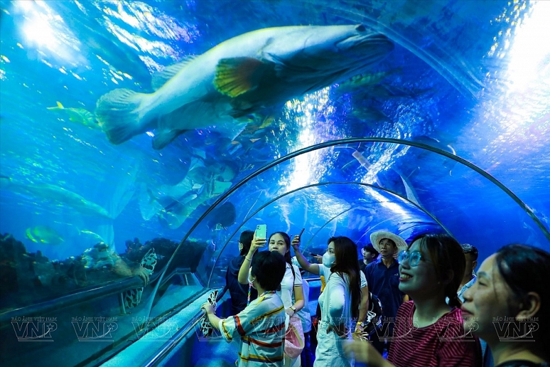 នាវា Vinpearl Submarine ញ៉ាត្រាង (Nha Trang) មានការរចនាពិសេសពីកញ្ចក់ថ្លាដំបូងគេបង្អស់នៅលើពិភពលោកដែលផ្តល់ឱ្យភ្ញៀវទេសចរចក្ខុវិស័យ ៣៦០ ដឺក្រេ នៅបាតមហាសមុទ្រ។ រូបថត៖ហ័ងហា/ VNP