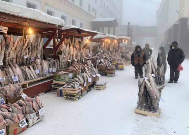 Yakutia៖ ភ្លើងរស់នៅលើទឹកកក និងព្រិល