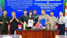 ខេត្ត Gia Lai ជួបពិភាក្សាការងារជាមួយគណៈកម្មការជំនាញនៃខេត្តភាគឦសានទាំងបីនៃប្រទេសកម្ពុជា