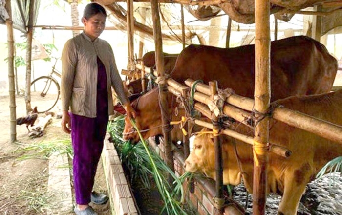 Sóc Trăng: Chăm lo, hỗ trợ nhà ở cho hộ nghèo đồng bào Khmer | Báo Dân tộc  và Phát triển