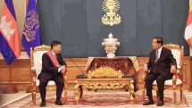 ប្រធានគណបក្សប្រជាជនកម្ពុជា ប្រធានព្រឹទ្ធសភាកម្ពុជាទទួលជួបឯកអគ្គរដ្ឋទូតវៀតណាមដែលមកជម្រាបលាក្នុងឱកាសបញ្ចប់អាណត្តិ