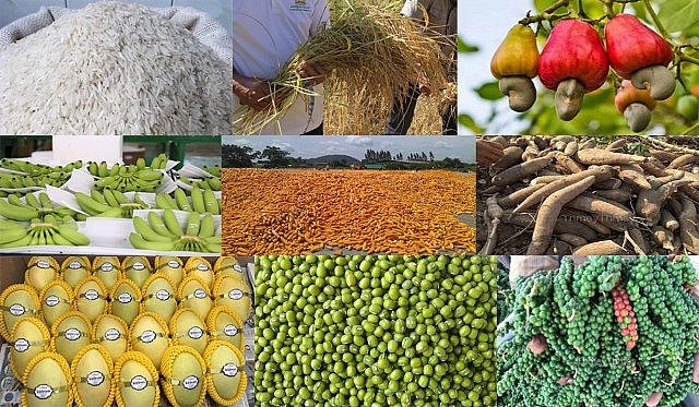 កសិផល​ខ្មែរ១០មុខ មានសក្តានុពលខ្ពស់ ក្នុងការនាំចេញទៅទីផ្សារអន្តរជាតិ