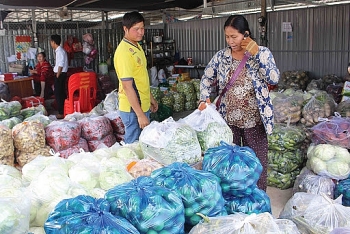 ប្រទេសវៀតណាម ចាប់ផ្តើមបើកការនាំចេញបន្លែមកកម្ពុជាវិញ បន្ទាប់ពីផ្អាករយៈពេលខ្លី