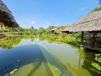 Suoi Hong - រូបភាពធម្មជាតិដ៏ប្លែកតែមួយគត់