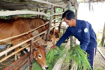 UNDP អបអរសាទរវៀតណាមប្រកាសស្ថិតិស្តីពីភាពក្រីក្រពហុវិស័យ