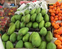 កម្មវិធីផ្សព្វផ្សាយផលិតផលផ្លែស្វាយវៀតណាមនៅទីផ្សារអូស្ត្រាលី