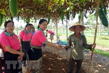 កាសែត Vientiane Times៖ ទំនាក់ទំនងឡាវ-វៀតណាមកាន់តែស៊ីជម្រៅទៅៗ