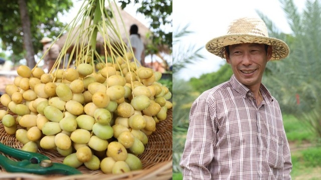 ផ្លែល្ម៉ើលោក ម៉ក់ យៀង នៅបន្ទាយស្រី នៅតែមានតម្លៃល្អ និងកំពុងពិចារណាពង្រីកការដាំបន្ថែម