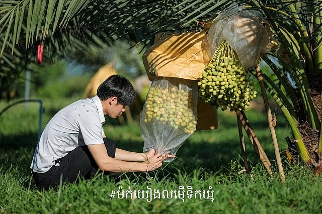 ផ្លែល្ម៉ើលោក ម៉ក់ យៀង នៅបន្ទាយស្រី នៅតែមានតម្លៃល្អ និងកំពុងពិចារណាពង្រីកការដាំបន្ថែម